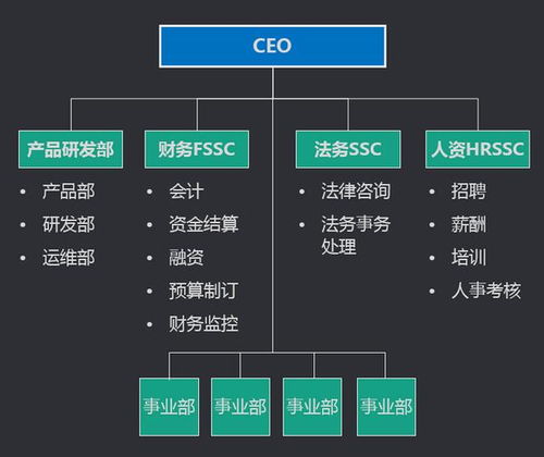 这份中台与数据报表的干货我写了10小时,真不想告诉你