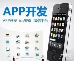 浙江软件开发杭州app开发宁波小程序开发